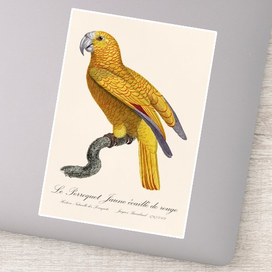 Le Perroquet Jaune ecaille de rouge Aufkleber