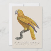 Le Perroquet Jaune ecaille de rouge Dankeskarte (Vorderseite)
