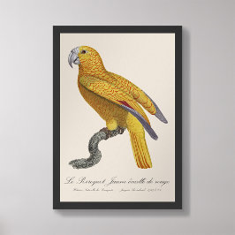 Le Perroquet Jaune ecaille de rouge Fotodruck