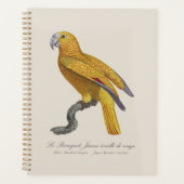 Le Perroquet Jaune ecaille de rouge Planer (Vorderseite)
