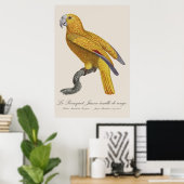 Le Perroquet Jaune ecaille de rouge Poster (Heimbüro)