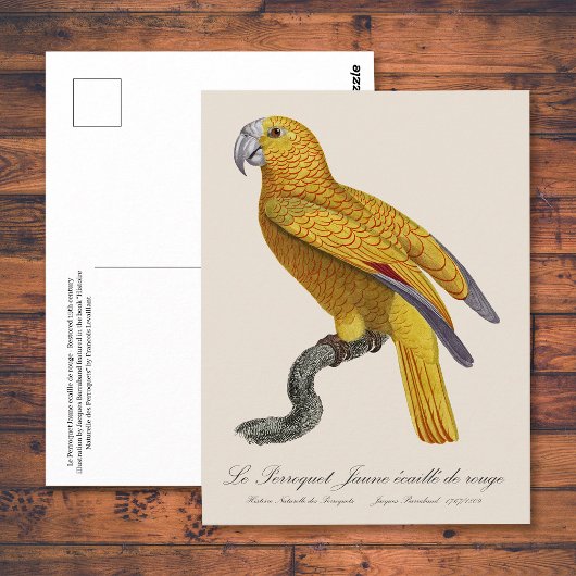 Le Perroquet Jaune ecaille de rouge Postkarte