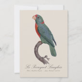 Le Perroquet Langlois Dankeskarte (Vorderseite)