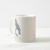 Le Perroquet Langlois Kaffeetasse (Vorderseite Links)