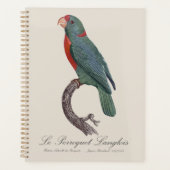 Le Perroquet Langlois Planer (Vorderseite)