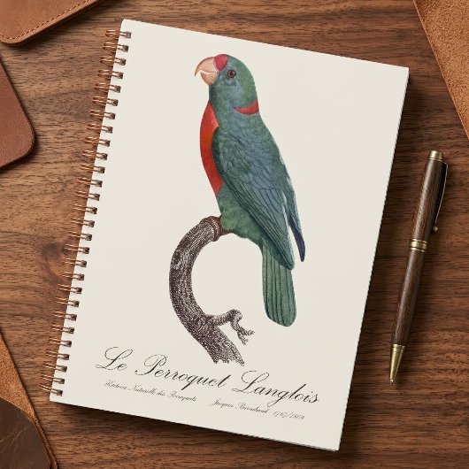 Le Perroquet Langlois Planer
