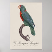 Le Perroquet Langlois Poster (Vorne)