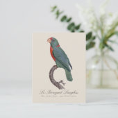 Le Perroquet Langlois Postkarte (Stehend Vorderseite)