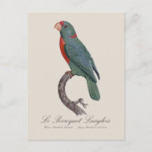 Le Perroquet Langlois Postkarte (Vorderseite)