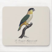 Le Perroquet Maipouri / Schwarzkopfpapagei Mousepad (Vorne)
