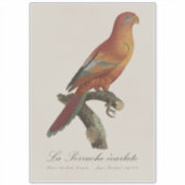 Le Perruche ecarlate Aufkleber (Vorderseite)