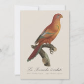 Le Perruche ecarlate Dankeskarte (Vorderseite)