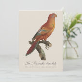 Le Perruche ecarlate Dankeskarte (Stehend Vorderseite)