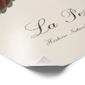 Le Perruche ecarlate Fotodruck (Ecke)