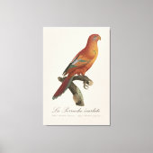 Le Perruche ecarlate Leinwanddruck (Vorderseite)