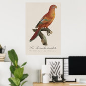 Le Perruche ecarlate Poster (Heimbüro)