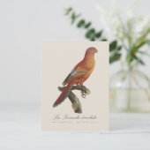 Le Perruche ecarlate Postkarte (Stehend Vorderseite)