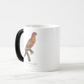 Le Perruche ecarlate Verwandlungstasse (Vorderseite Links)