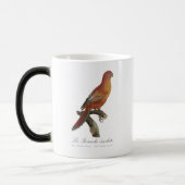 Le Perruche ecarlate Verwandlungstasse (Links)