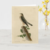 Le Petit Caporal (Merlin) Audubon Birds of America Karte (Gelbe Blume)