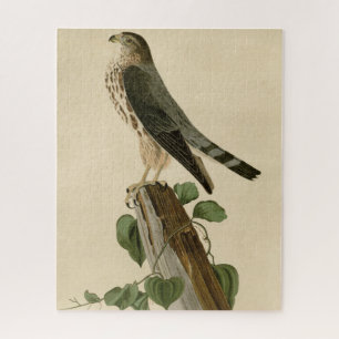 Le Petit Caporal (Merlin) Audubon Birds of America Puzzle