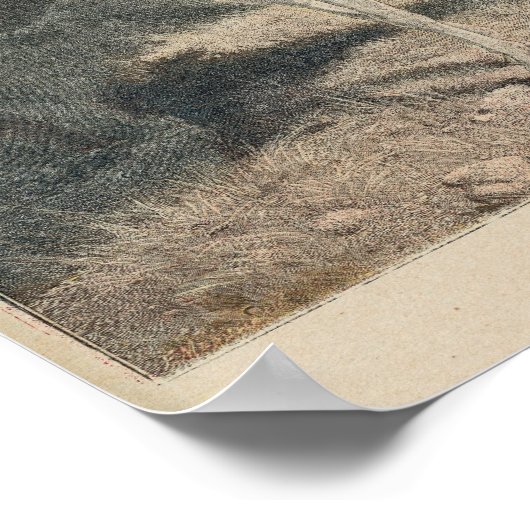 Le Petit Journal Poster (Ecke)