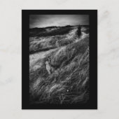 Le Rendez-vous d'Alice Wonderland Foto für schöne  Postkarte (Vorderseite)