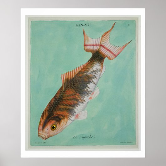 Le Superbe, graviert von Francois Nicholas Martine Poster (Vorne)