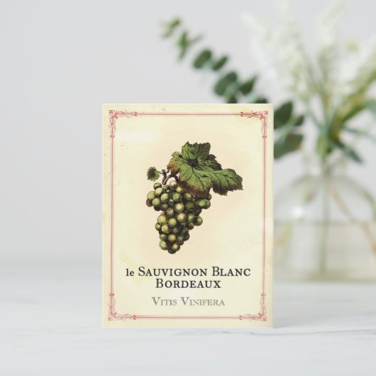 Le Vin Blanc Postkarte (Stehend Vorderseite)