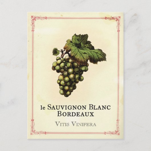Le Vin Blanc Postkarte (Vorderseite)