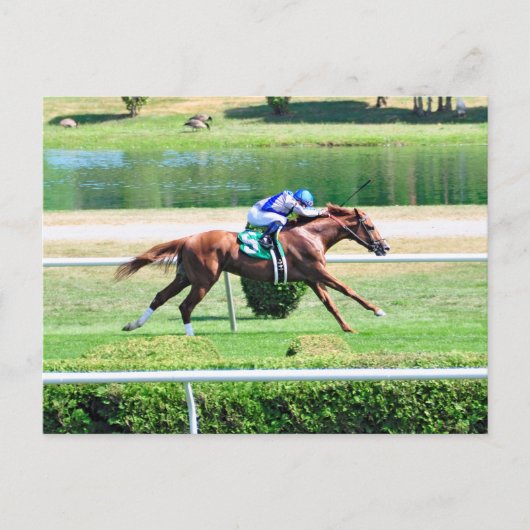 Lea - Stakes Siegendes Kastanienbold Postkarte (Vorderseite)