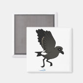Leach's Storm Petrel (flutter) Magnet (Vorderseite/Rückseite)