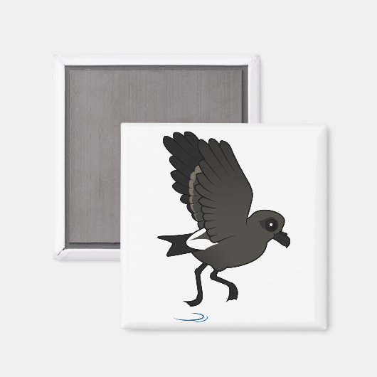 Leach's Storm Petrel (flutter) Magnet (Vorderseite/Rückseite)