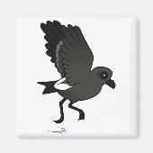 Leach's Storm Petrel (flutter) Magnet (Vorne)