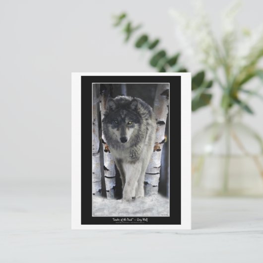 LEADER DER PACKUNG ~ Wolf Postkarten (Stehend Vorderseite)