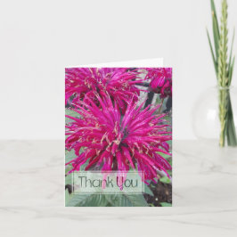 Leading Lady Razzberry Bee Balm Hot Pink Blume Dankeskarte