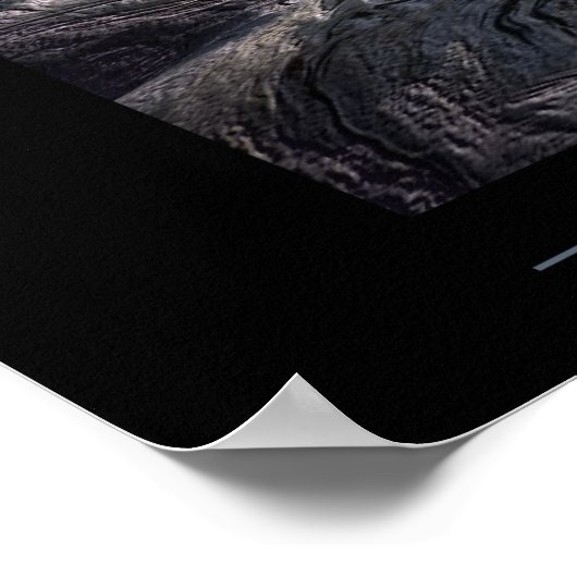 Léæ'Amazonie Poster (Ecke)