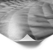 Leaf Abstrakt & Waterdrops-B&W Fotodruck (Ecke)