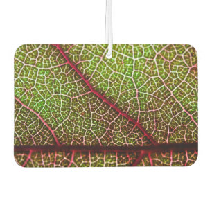 Leaf Autolufterfrischer
