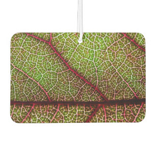 Leaf Autolufterfrischer