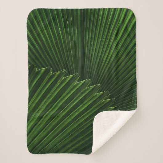 Leaf Background Sherpadecke (Vorderseite)