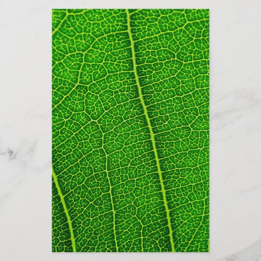 Leaf Briefpapier (Vorderseite)