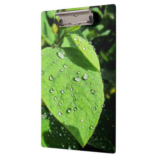 Leaf Clipboard Klemmbrett (Links)