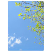 Leaf Clipboard Klemmbrett (Rückseite)