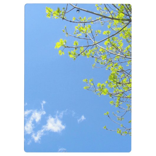 Leaf Clipboard Klemmbrett (Rückseite)