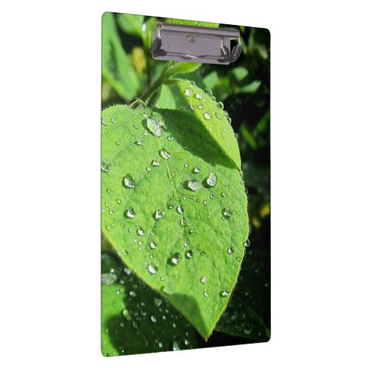 Leaf Clipboard Klemmbrett (Rechts)