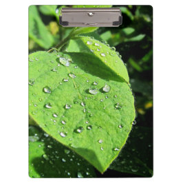 Leaf Clipboard Klemmbrett