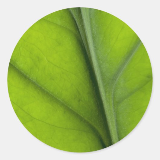 Leaf Closeup Runder Aufkleber (Vorderseite)
