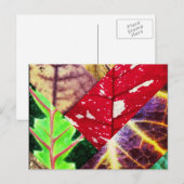 Leaf Collage Postcard Postkarte (Vorne/Hinten)