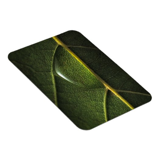 Leaf Droplets Magnet (Rechte Seite)